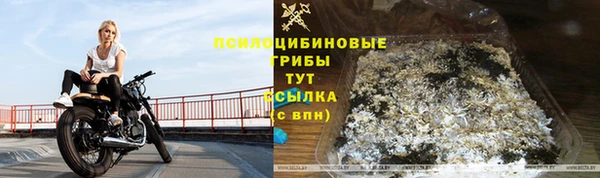 хмурый Дмитриев