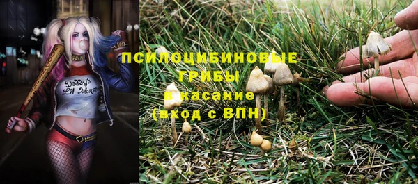 винт Дмитровск