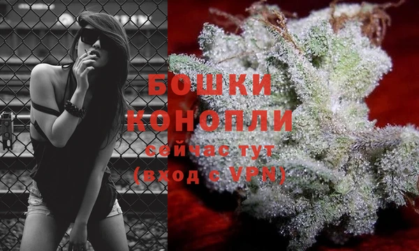 хмурый Дмитриев