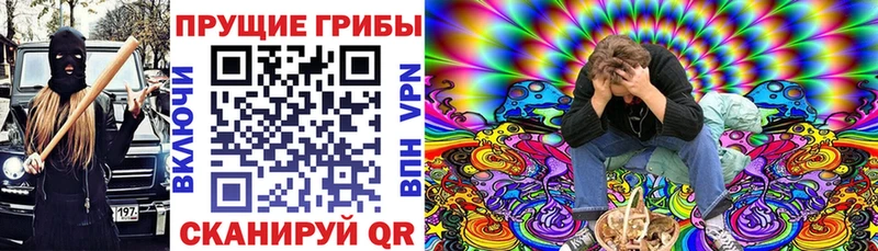 Галлюциногенные грибы Cubensis  Купить где  Тырныауз 